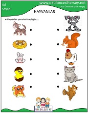 Hayvanlar İle Yavrularını Eşleştir